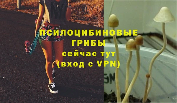 эйфоретик Краснослободск